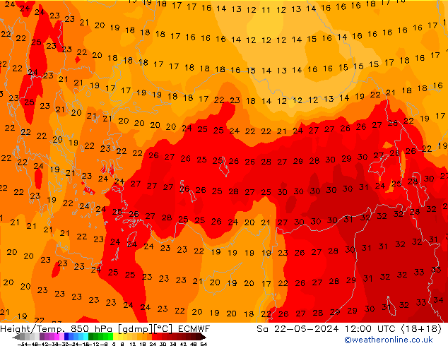 Z500/Rain (+SLP)/Z850 ECMWF So 22.06.2024 12 UTC