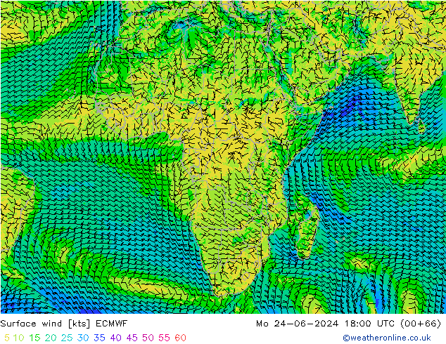 Surface wind ECMWF Mo 24.06.2024 18 UTC