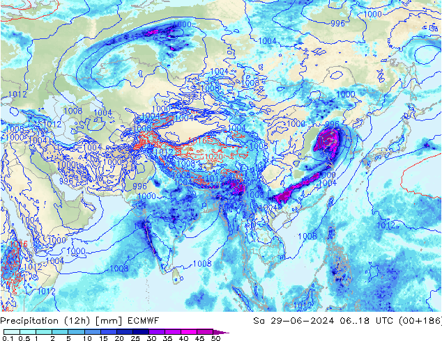Precipitation (12h) ECMWF Sa 29.06.2024 18 UTC