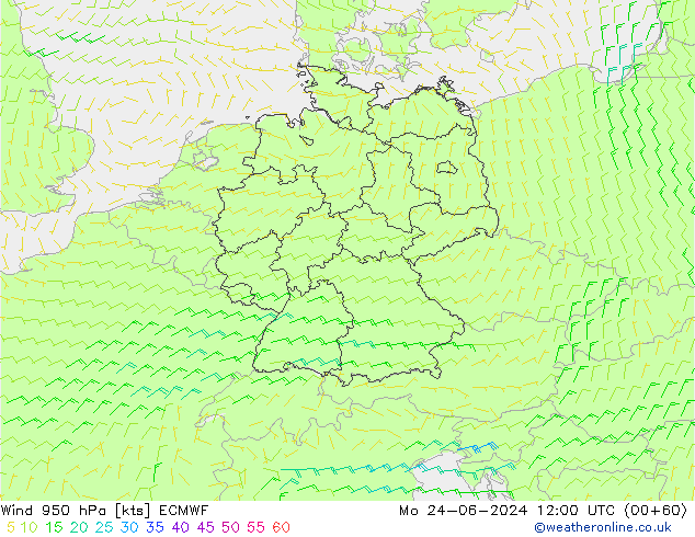  950 hPa ECMWF  24.06.2024 12 UTC