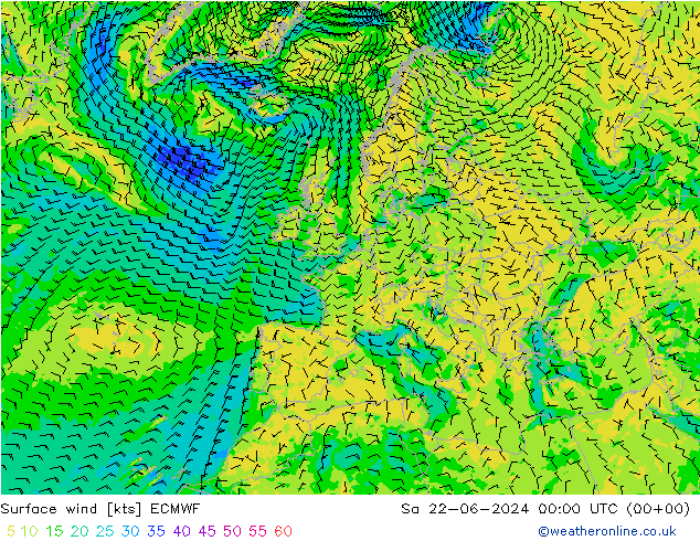 Viento 10 m ECMWF sáb 22.06.2024 00 UTC