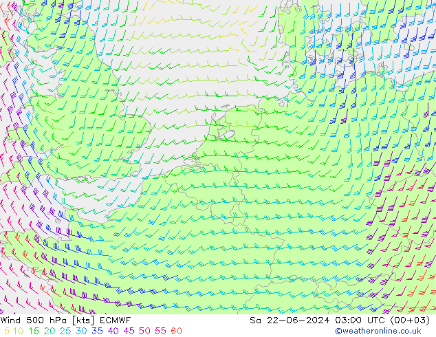 Wind 500 hPa ECMWF Sa 22.06.2024 03 UTC