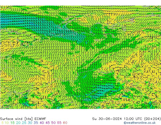 Viento 10 m ECMWF dom 30.06.2024 12 UTC