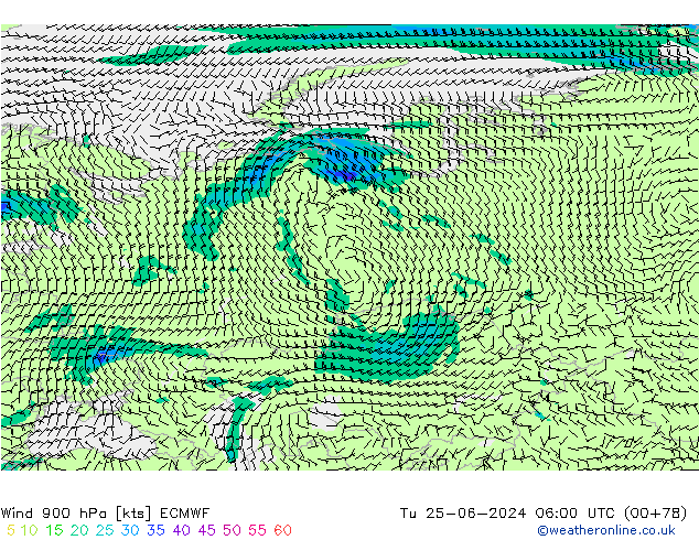 ветер 900 гПа ECMWF вт 25.06.2024 06 UTC