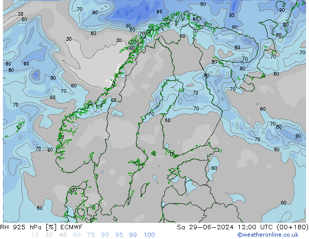 RH 925 hPa ECMWF Sa 29.06.2024 12 UTC