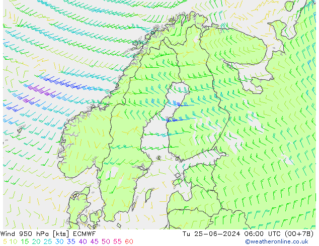 Wind 950 hPa ECMWF Tu 25.06.2024 06 UTC