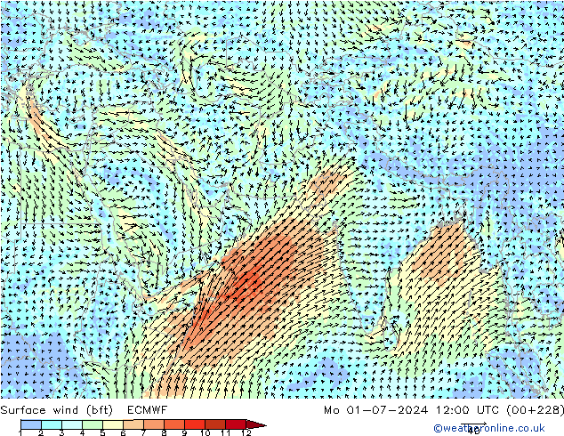 Surface wind (bft) ECMWF Mo 01.07.2024 12 UTC