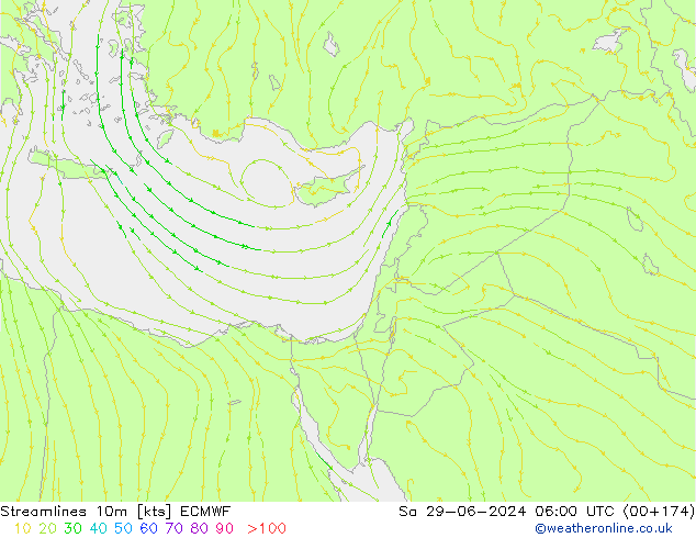 Ligne de courant 10m ECMWF sam 29.06.2024 06 UTC