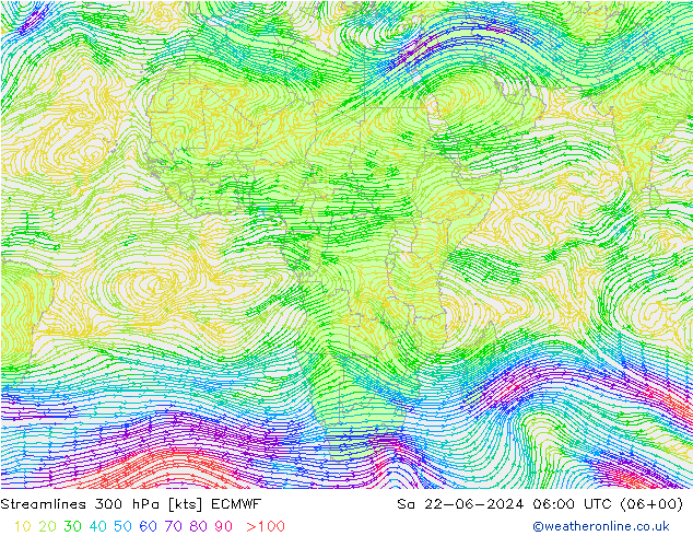 Streamlines 300 hPa ECMWF So 22.06.2024 06 UTC