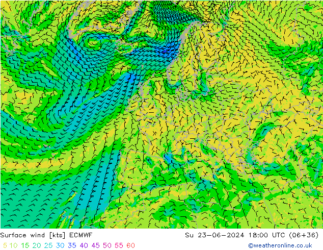 Surface wind ECMWF Ne 23.06.2024 18 UTC