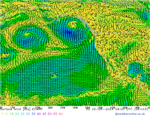 Viento 10 m ECMWF sáb 22.06.2024 09 UTC