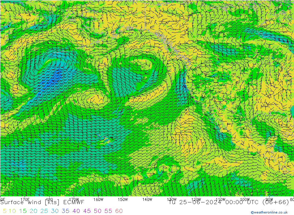 Surface wind ECMWF Tu 25.06.2024 00 UTC