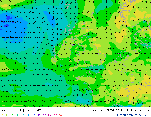 Surface wind ECMWF Sa 22.06.2024 12 UTC