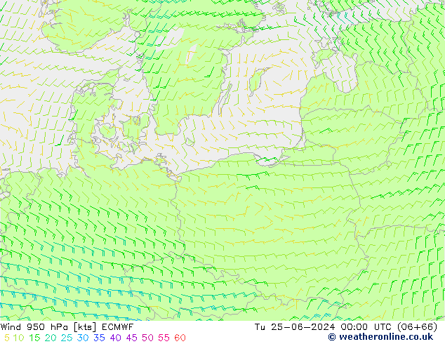 Viento 950 hPa ECMWF mar 25.06.2024 00 UTC