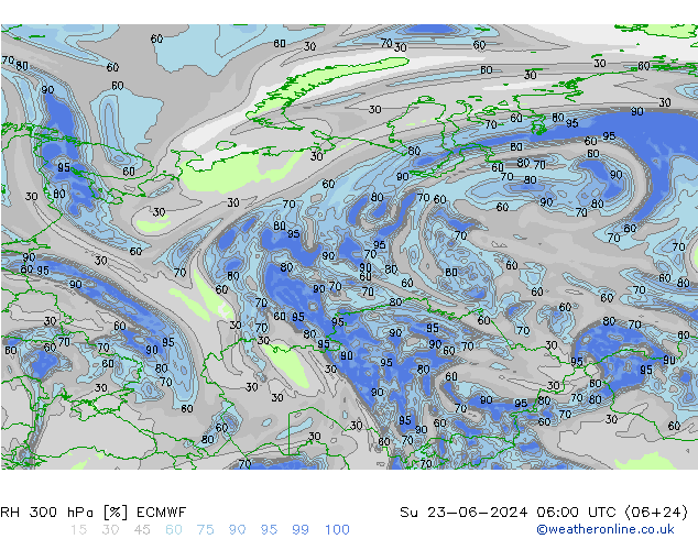 Humidité rel. 300 hPa ECMWF dim 23.06.2024 06 UTC