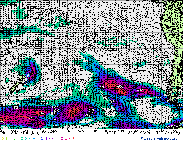 wiatr 850 hPa ECMWF wto. 25.06.2024 00 UTC