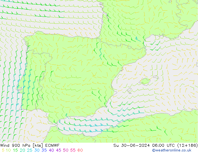 Wind 900 hPa ECMWF zo 30.06.2024 06 UTC