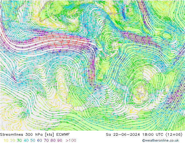风 300 hPa ECMWF 星期六 22.06.2024 18 UTC