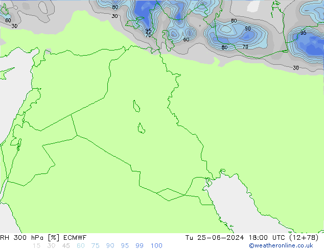 300 hPa Nispi Nem ECMWF Sa 25.06.2024 18 UTC