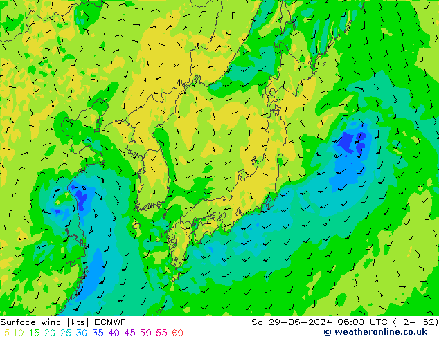 Surface wind ECMWF Sa 29.06.2024 06 UTC