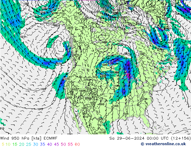  950 hPa ECMWF  29.06.2024 00 UTC