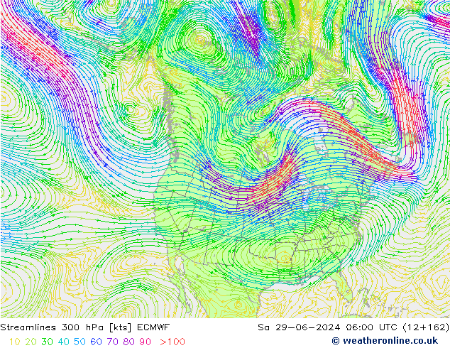 Streamlines 300 hPa ECMWF So 29.06.2024 06 UTC