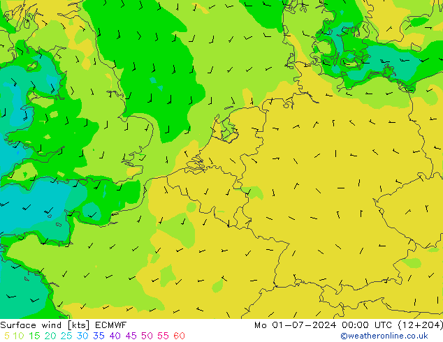 Wind 10 m ECMWF ma 01.07.2024 00 UTC