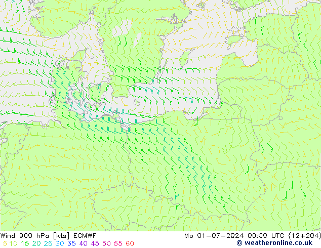  900 hPa ECMWF  01.07.2024 00 UTC