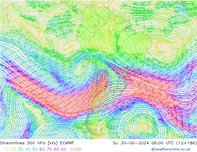 Streamlines 300 hPa ECMWF Su 30.06.2024 06 UTC