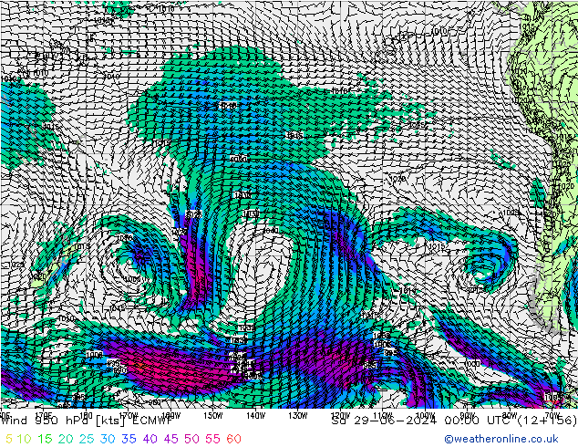 Wind 950 hPa ECMWF Sa 29.06.2024 00 UTC