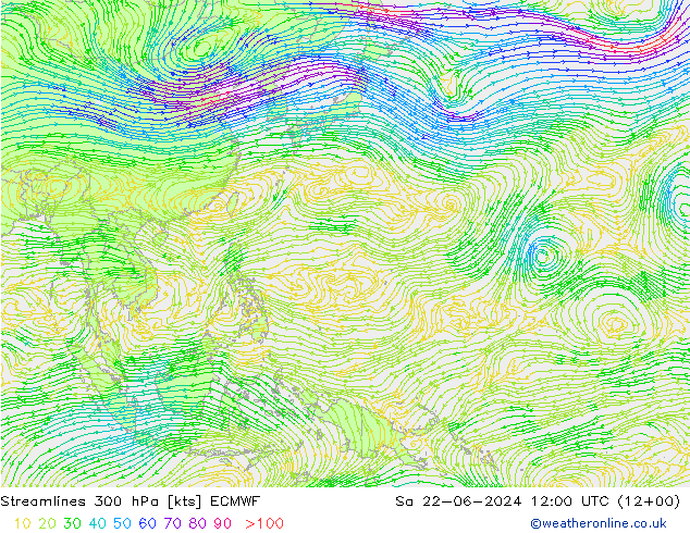 Streamlines 300 hPa ECMWF So 22.06.2024 12 UTC