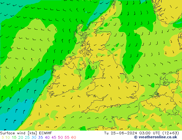 wiatr 10 m ECMWF wto. 25.06.2024 03 UTC