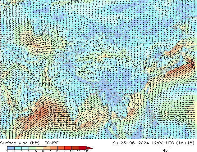 Rüzgar 10 m (bft) ECMWF Paz 23.06.2024 12 UTC