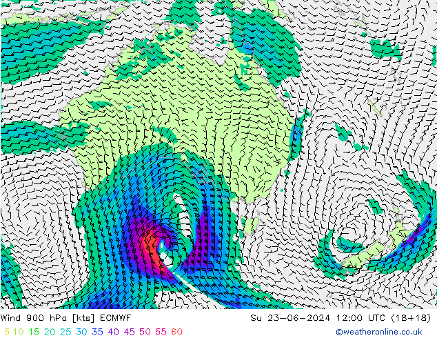 Wind 900 hPa ECMWF So 23.06.2024 12 UTC