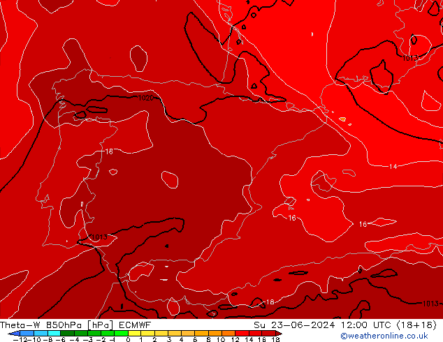 Theta-W 850hPa ECMWF dom 23.06.2024 12 UTC