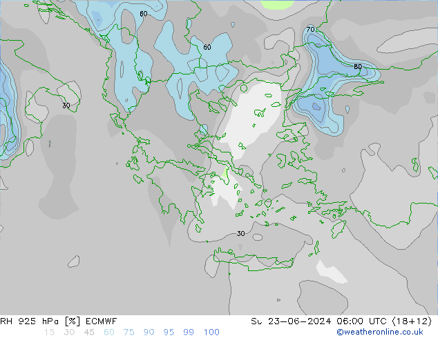 925 hPa Nispi Nem ECMWF Paz 23.06.2024 06 UTC