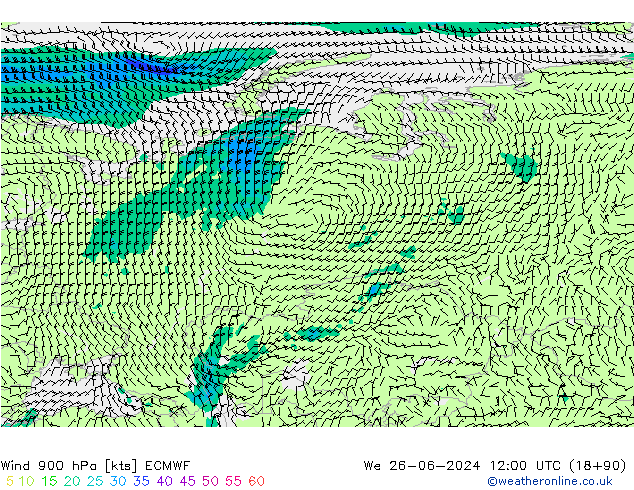 Vent 900 hPa ECMWF mer 26.06.2024 12 UTC