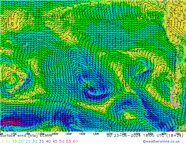 Vent 10 m ECMWF dim 23.06.2024 18 UTC