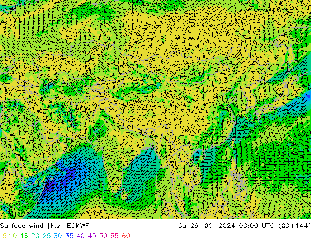 Surface wind ECMWF Sa 29.06.2024 00 UTC