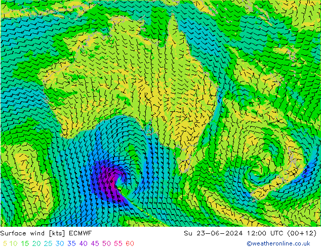 Bodenwind ECMWF So 23.06.2024 12 UTC