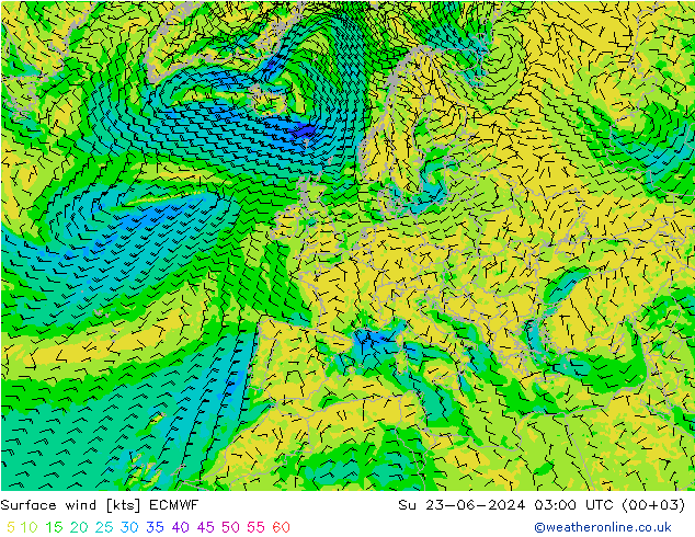 Viento 10 m ECMWF dom 23.06.2024 03 UTC