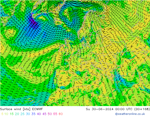 Surface wind ECMWF Su 30.06.2024 00 UTC