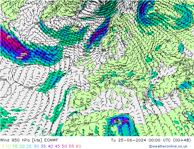  950 hPa ECMWF  25.06.2024 00 UTC