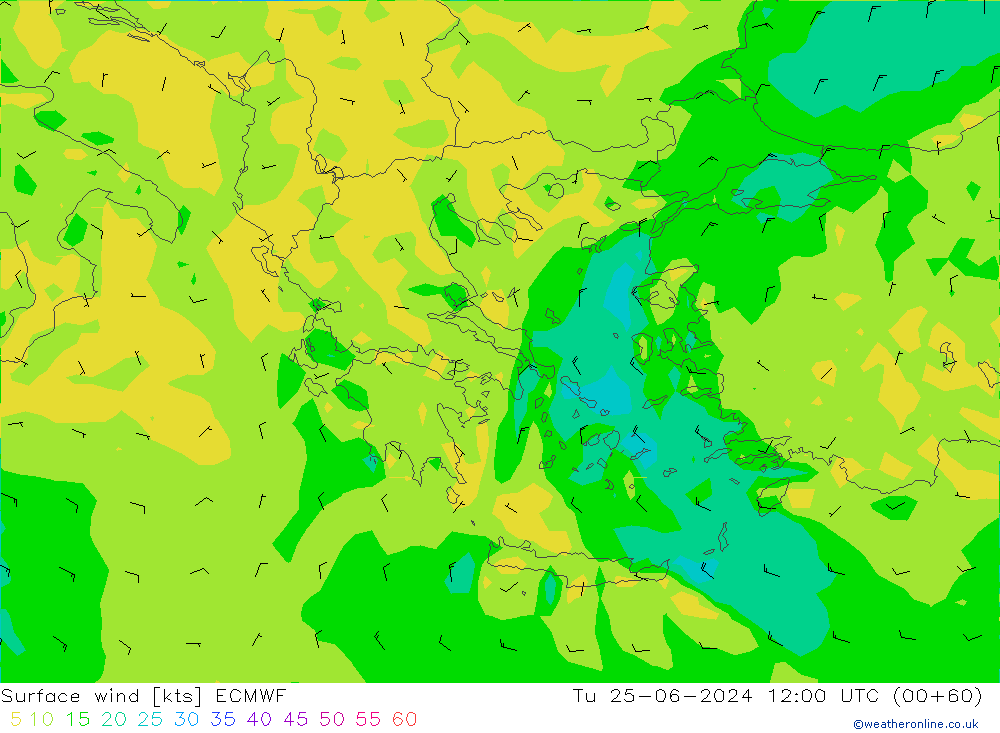 Surface wind ECMWF Tu 25.06.2024 12 UTC