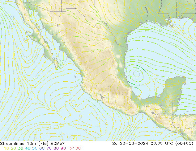 Stroomlijn 10m ECMWF zo 23.06.2024 00 UTC