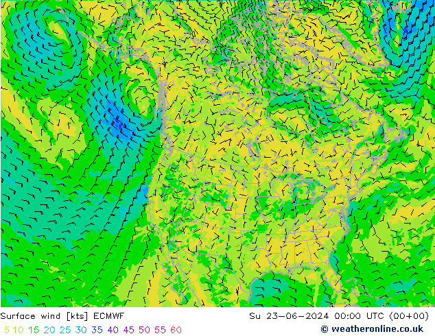 Surface wind ECMWF Su 23.06.2024 00 UTC