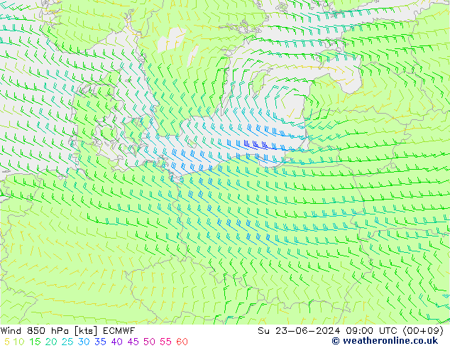  dim 23.06.2024 09 UTC