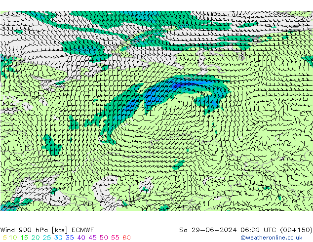 Wind 900 hPa ECMWF Sa 29.06.2024 06 UTC