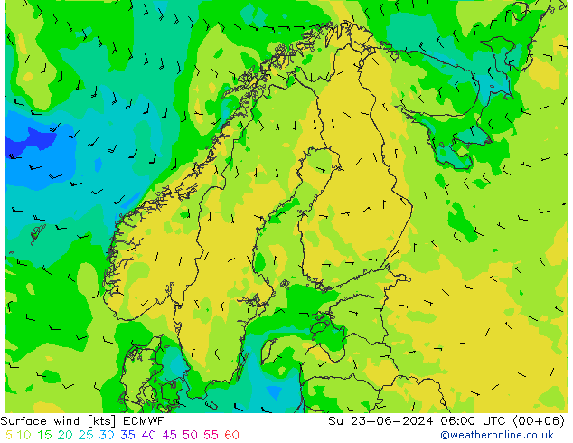 Viento 10 m ECMWF dom 23.06.2024 06 UTC