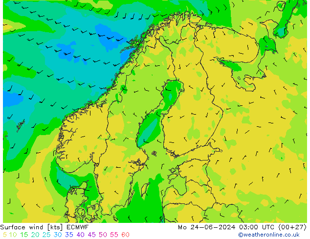 ветер 10 m ECMWF пн 24.06.2024 03 UTC